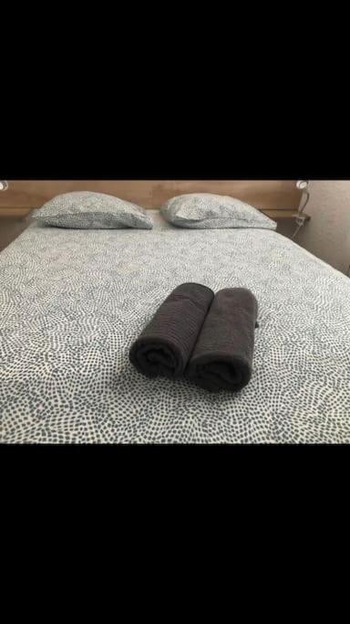 Apartment « le Petit Bastille»proche Lyon Centre Villeurbanne