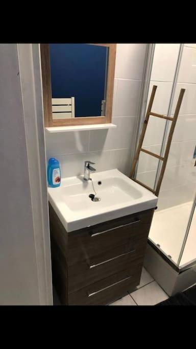 « le Petit Bastille»proche Lyon Centre Apartment Villeurbanne