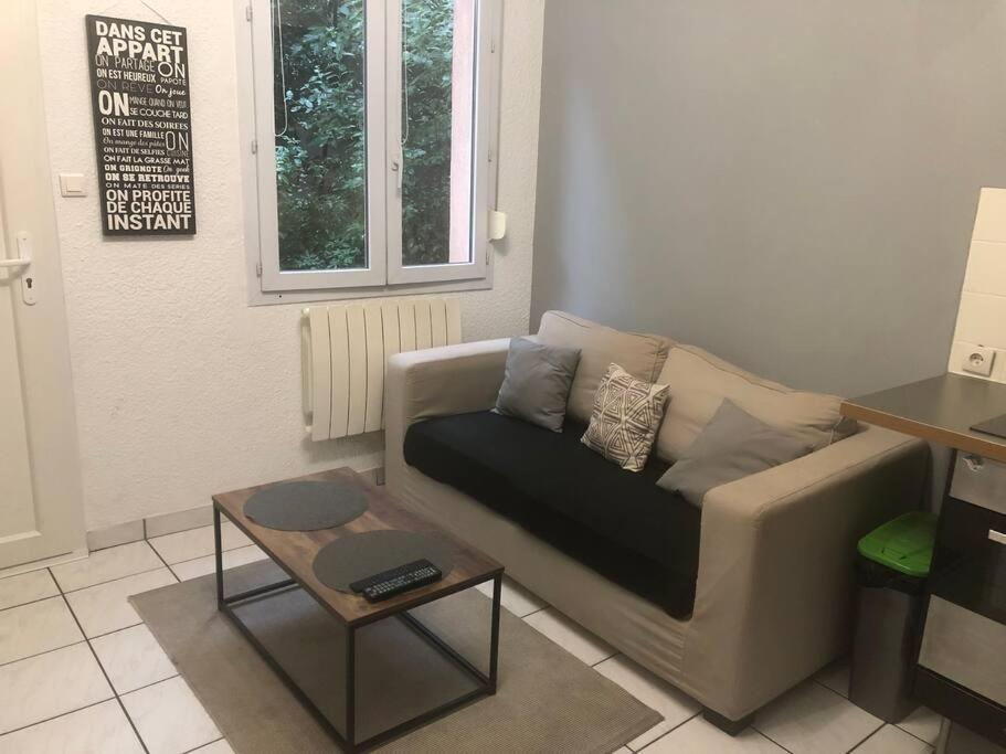 Apartment « le Petit Bastille»proche Lyon Centre *
